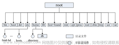 数据结构初阶之基础二叉树（C语言实现）,数据结构与算法,数据结构,c语言,开发语言,c++
