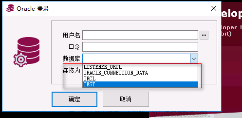 windows.x64_193000_client.zip,oracle,windows,学习,数据库,microsoft