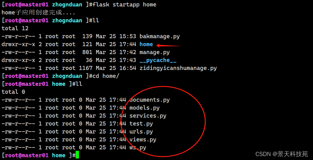 【python】flask各种版本的项目，终端命令运行方式的实现,flask框架零基础，进阶应用实战教学,python,flask,开发语言,终端命令运行项目