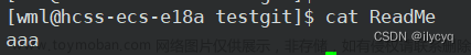 Git的基本操作（安装Git，创建本地仓库，配置Git，添加、修改、回退、撤销修改、删除文件）,git,elasticsearch,大数据,网络,c++,tcp/ip