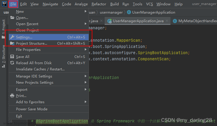 apifox配置idea,intellij-idea,java,ide