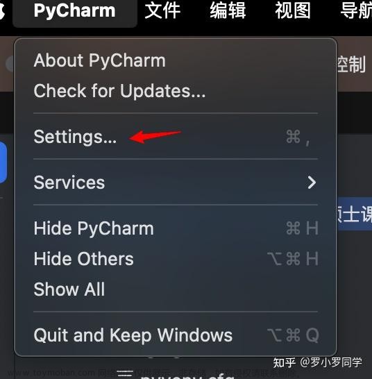 mac pycharm pytorch环境配置,人工智能进阶,macos,pytorch,人工智能