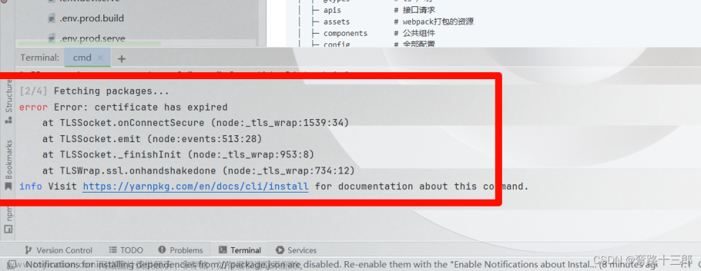WebStrom 报错：error Error: certificate has expired at TLSSocket.onConnectSecure (node:_tls_wrap:15