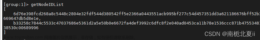 區(qū)塊鏈啟動控制臺,查詢節(jié)點版本信息,區(qū)塊鏈部署與運維,運維,區(qū)塊鏈