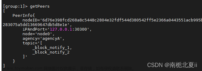 區(qū)塊鏈啟動控制臺,查詢節(jié)點版本信息,區(qū)塊鏈部署與運維,運維,區(qū)塊鏈