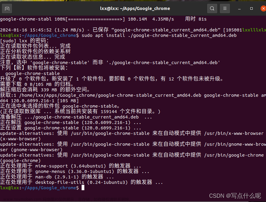 ubuntu20.04安装谷歌浏览器,Linux,软件/环境配置,linux