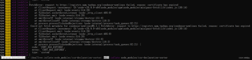 node package manager (npm) is either not installed or its executable is not,前端,node.js,npm,node.js,npm,前端