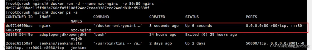 Docker 安装 Nginx 部署前端项目