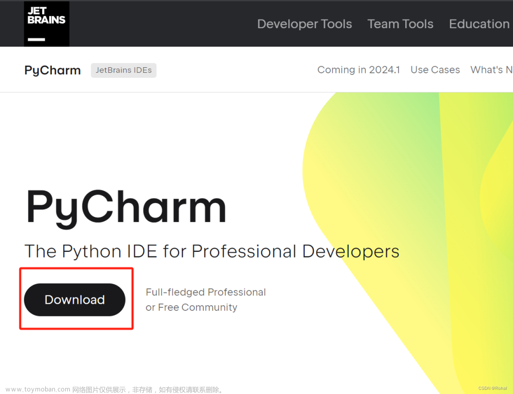 python专业版,python,pycharm