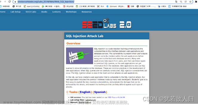 网络安全---SQL注入攻击