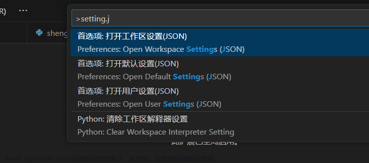 Visual Studio Code & Python教程2环境