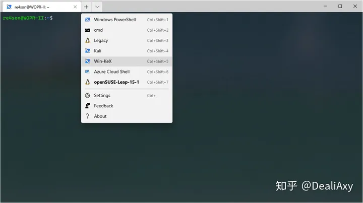 wsl桌面gui,windows,linux,運(yùn)維