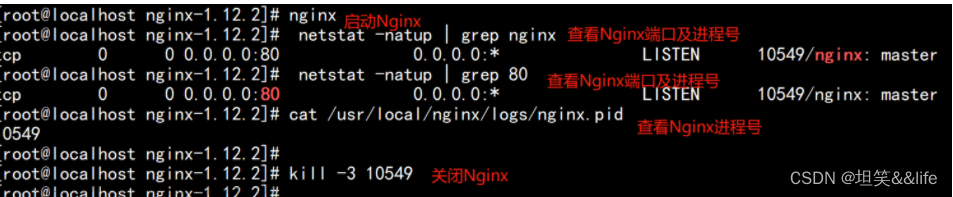 安装完成nginx的centos7,运维,linux,centos,nginx