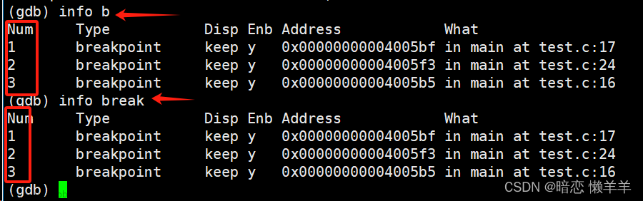 Linux调试器之gdb,Linux从入门到进阶,linux,服务器