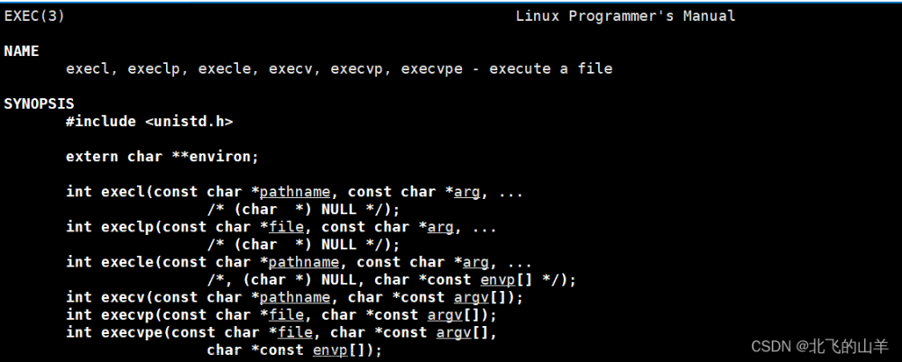 【Linux】详解进程程序替换,linux,运维,服务器,c语言