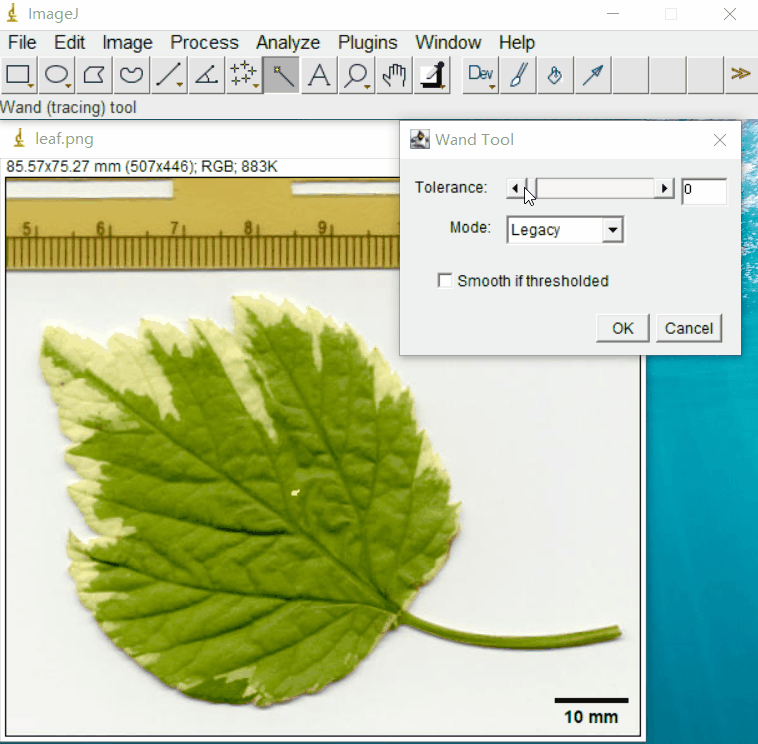 ImageJ软件使用教程（二）：图像测量