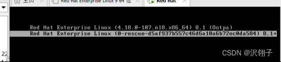 redhat8修改root密码,linux,运维,服务器