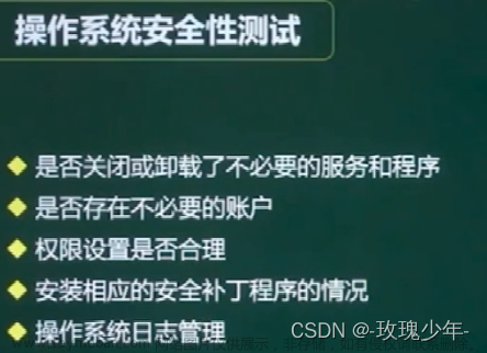 20.安全性测试与评估,软考中级,安全性测试,网络,安全