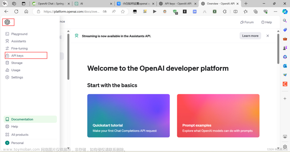 openai_api_key,人工智能,人工智能