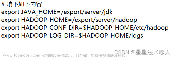 根据hadoop集群部署规划规划配置文件,hadoop,hadoop,hdfs,大数据