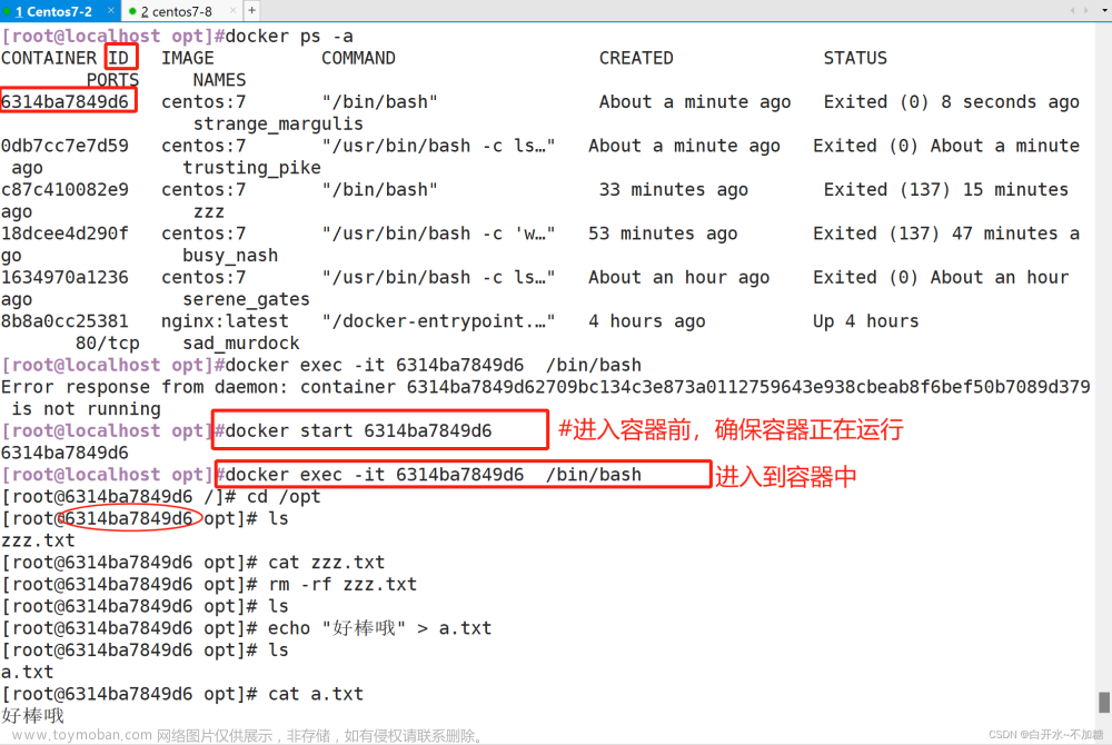 探索开源的容器引擎--------------Docker容器操作,docker,容器,运维