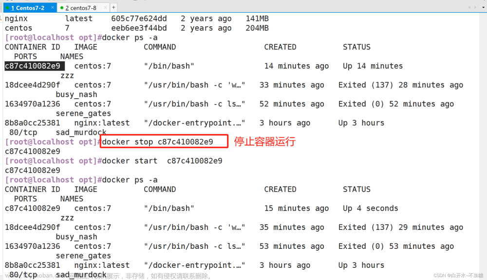 探索开源的容器引擎--------------Docker容器操作,docker,容器,运维