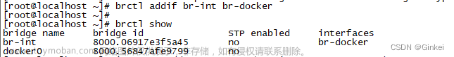 专项技能训练五《云计算网络技术与应用》实训5-8：Docker跨主机互联,云计算,docker,容器,网络,centos,服务器