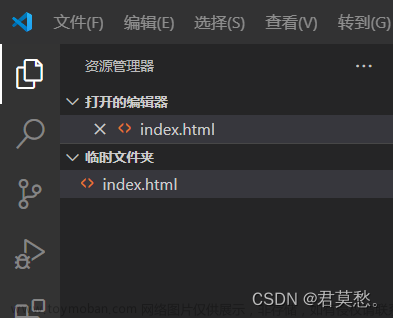 visual studio code giee,项目开发技巧,vscode,gitee,ide