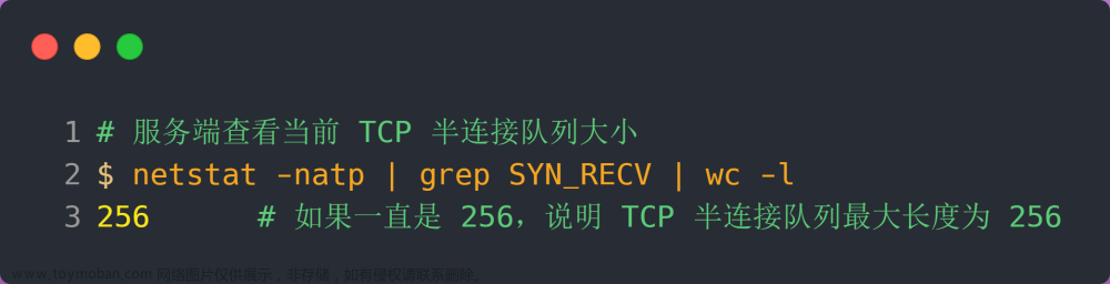 TCP 协议特性,网络,网络,服务器,linux